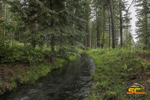 Moonshine Ditch 